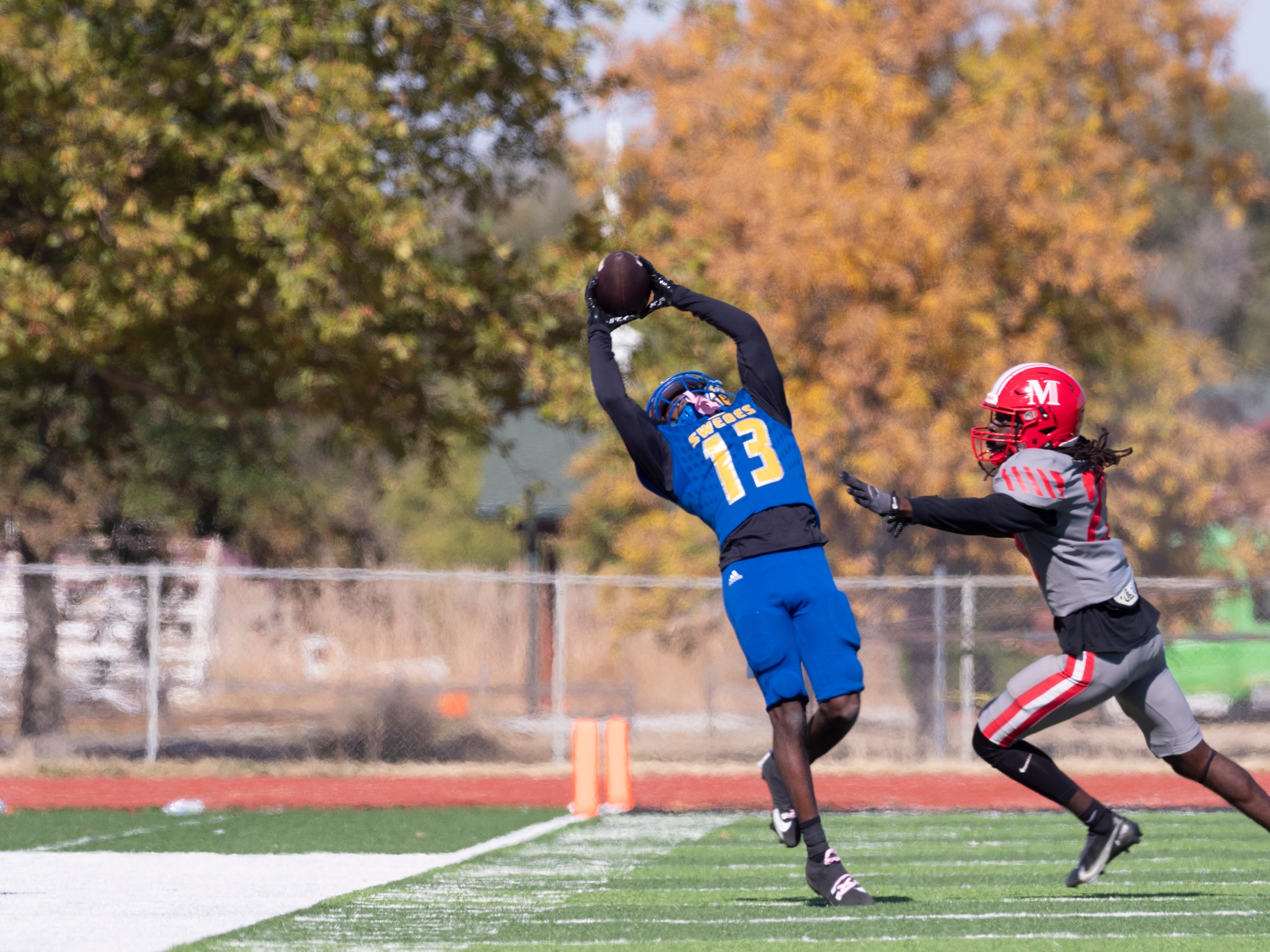 OFFENSIVE WOES CONTINUE FOR SWEDES; FALL 50-14