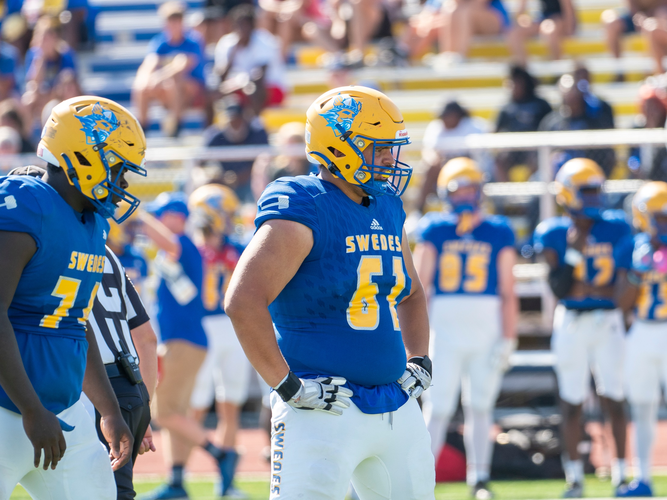 DEFENSE FORCES 4 TURNOVERS; SWEDES FALL TO NO. 20 VALOR