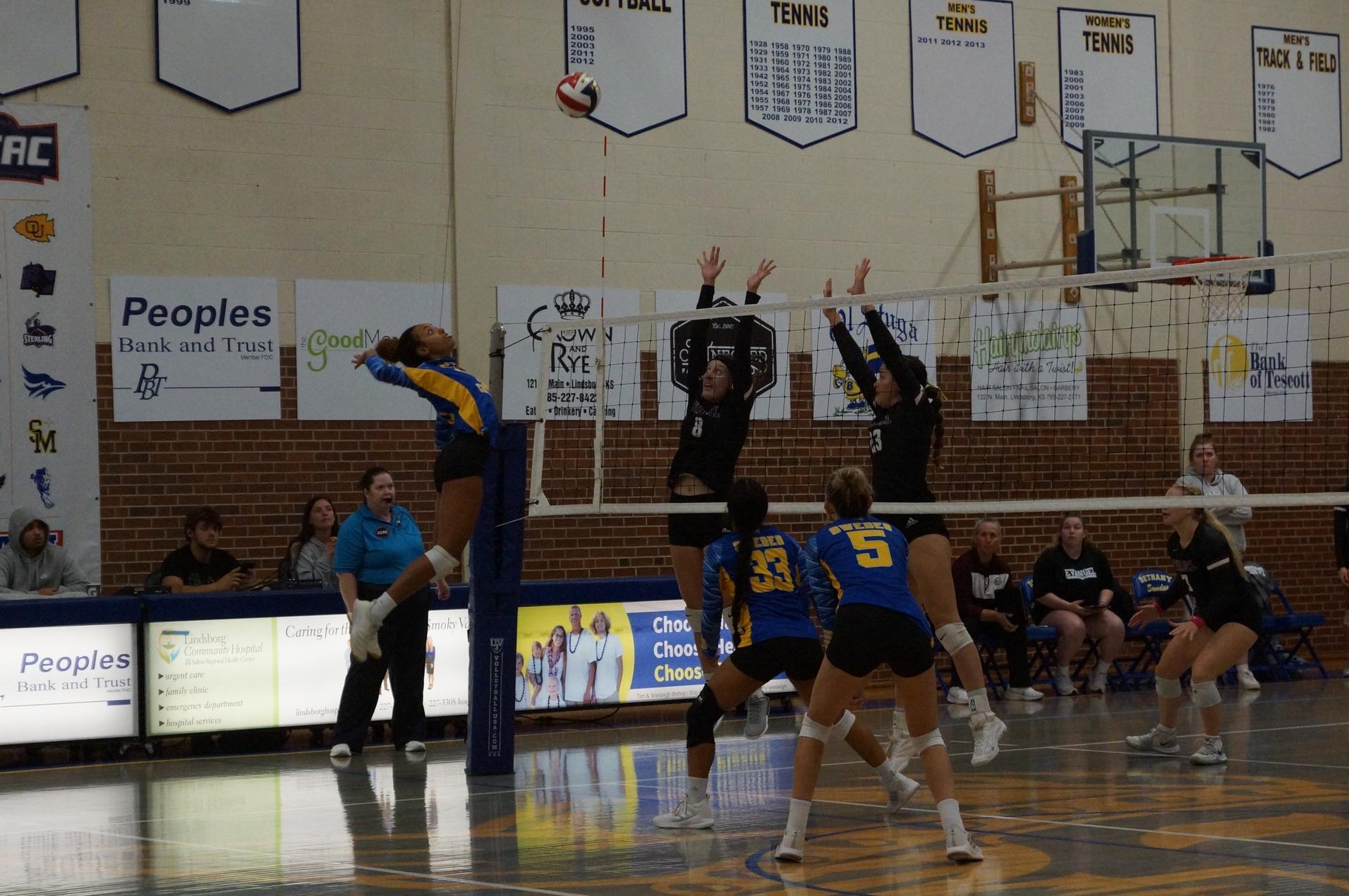 SWEDES PREVAIL IN PANTHER SWEEP
